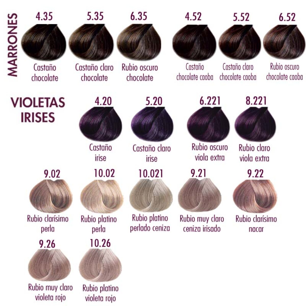 4 MARRONES VIOLETAS IRISES 2025