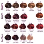 Paleta exclusiva de tonos cobres, rojos y caobas para cabello profesional