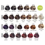 CARTA BLIFECOLOR 2