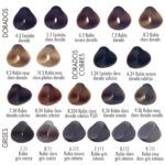Paleta exclusiva de tonos dorados, cobrizos y grises para coloración profesional