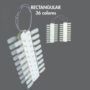 EXPOSITOR RECTANGULAR 36