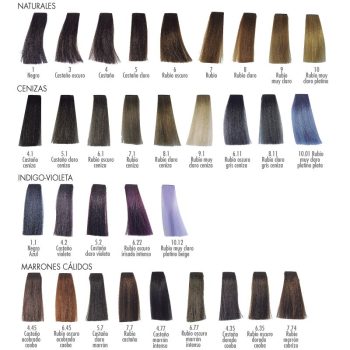 Cartel visual tipo muestrario de colores de cabello organizado en secciones con mechones que van desde negro y varios tonos castaños hasta rubios claros y platino, matices ceniza, azules y violeta, pensado para referencia de color en peluquería.