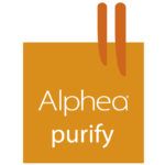 Set exclusivo Purify Alphea: tratamiento purificante para piel grasa