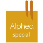 VENDAJES COSMETICOS SALIDNOS SPECIAL
