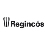 Set innovador de cepillos redondos de madera con mango de corcho para peinado profesional